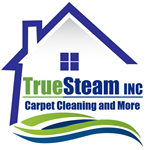 Professional Carpet Cleaning Richmond VA